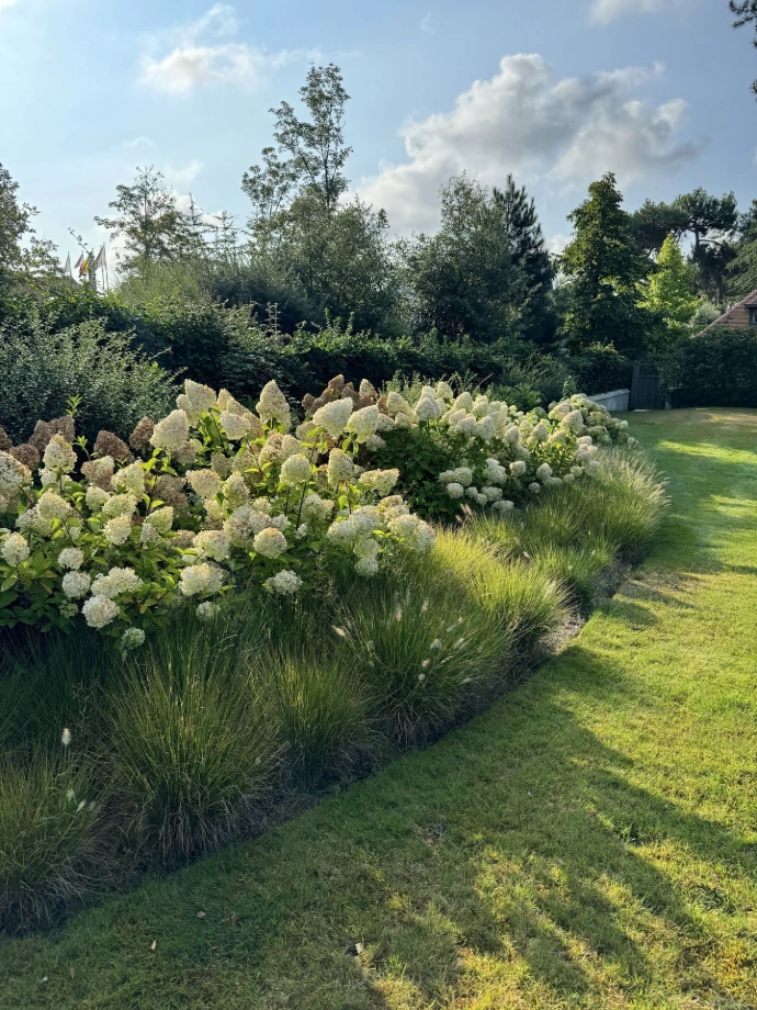 Jardin brabant wallon paysagiste