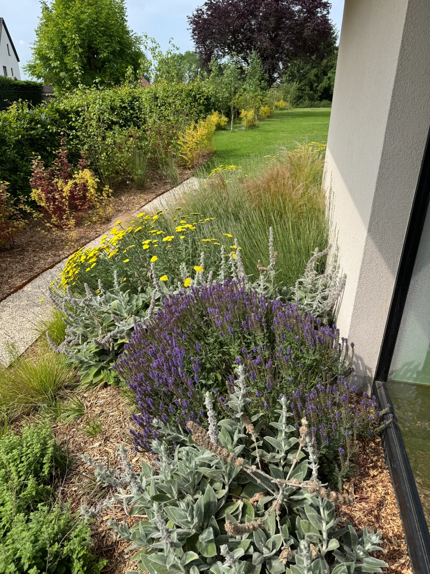 Massif Design & Ambiances